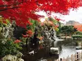 上尾丸山公園の写真_124578