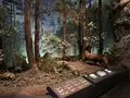 埼玉県立自然の博物館の写真_1252109