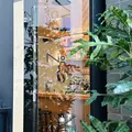 No.（ナンバー）の写真_1255158