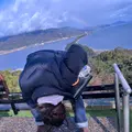 天橋立の写真_1266003