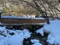 西の河原露天風呂の写真_1267385