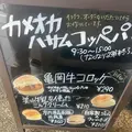 カメオカハサムコッペパンの写真_1270361