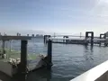 視察船東京みなと丸のりばの写真_1287998