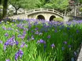 菅原神社の写真_129950