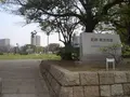 難波宮跡公園の写真_129969