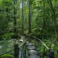 天授庵の写真_1302817