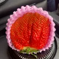 鳥羽マルシェの写真_1308183