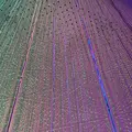 チームラボプラネッツ TOKYO (teamLab Planets TOKYO) DMMの写真_1315897