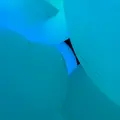 チームラボプラネッツ TOKYO (teamLab Planets TOKYO) DMMの写真_1315898