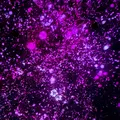 チームラボプラネッツ TOKYO (teamLab Planets TOKYO) DMMの写真_1315899