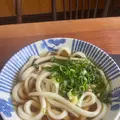 山下うどん店の写真_1317422