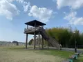 市貝町芝ざくら公園の写真_1323655