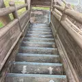 市貝町芝ざくら公園の写真_1323656