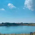 市貝町芝ざくら公園の写真_1323658