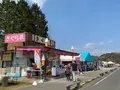 市貝町芝ざくら公園の写真_1323660