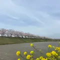 おの桜づつみ回廊の写真_1323790
