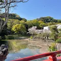 鶴岡八幡宮の写真_1324225