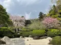 明月院（あじさい寺）の写真_1324227