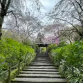 明月院（あじさい寺）の写真_1324228