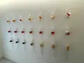 梅体験専門店　蝶屋　鎌倉店の写真_1324240