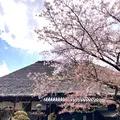 円通寺の写真_1327764