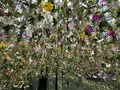 チームラボプラネッツ TOKYO (teamLab Planets TOKYO) DMMの写真_1327792