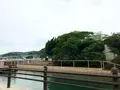 弁天島 (山口県長門市)の写真_1327824
