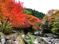 滝ノ口河川公園の写真_1327849