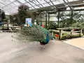 松江フォーゲルパークの写真_1327988