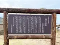 掛戸松島の写真_1328000