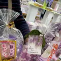 あしかがフラワーパークの写真_1330541