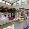 あしかがフラワーパークの写真_1330542