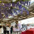 あしかがフラワーパークの写真_1330543