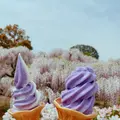 あしかがフラワーパークの写真_1330548