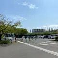 あしかがフラワーパークの写真_1330589