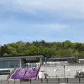 あしかがフラワーパークの写真_1330592