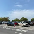 あしかがフラワーパークの写真_1330595