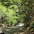 豊英大滝（大戸場滝）の写真_1333839