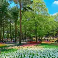 国営ひたち海浜公園の写真_1335873