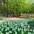 国営ひたち海浜公園の写真_1335874
