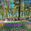 国営ひたち海浜公園の写真_1335875