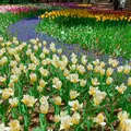 国営ひたち海浜公園の写真_1335876