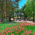 国営ひたち海浜公園の写真_1335879