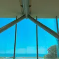 国営ひたち海浜公園の写真_1335882