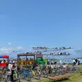 国営ひたち海浜公園の写真_1335883