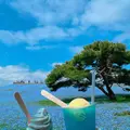 国営ひたち海浜公園の写真_1335886