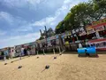 国営ひたち海浜公園の写真_1335888