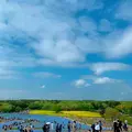 国営ひたち海浜公園の写真_1335894