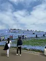国営ひたち海浜公園の写真_1335902