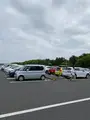国営ひたち海浜公園の写真_1335907